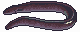 Electric Eel